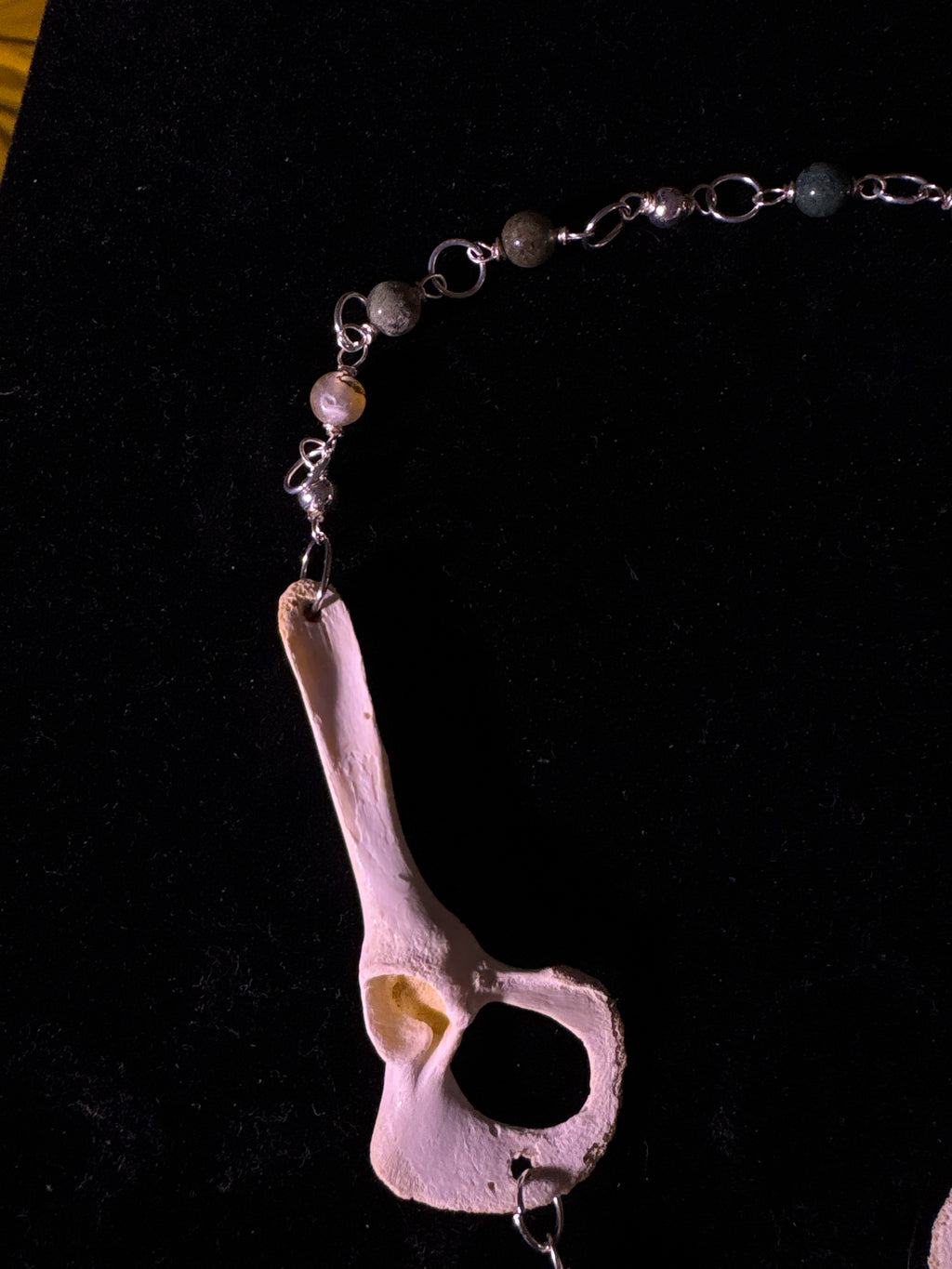 Racoon pelvis and labradorite necklace