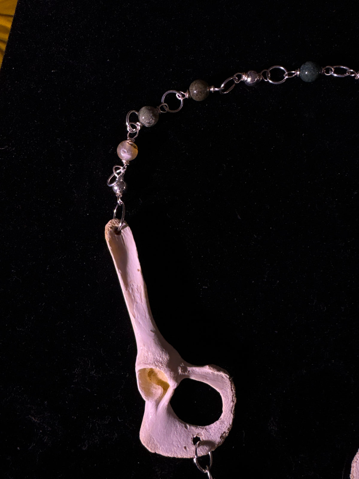 Racoon pelvis and labradorite necklace