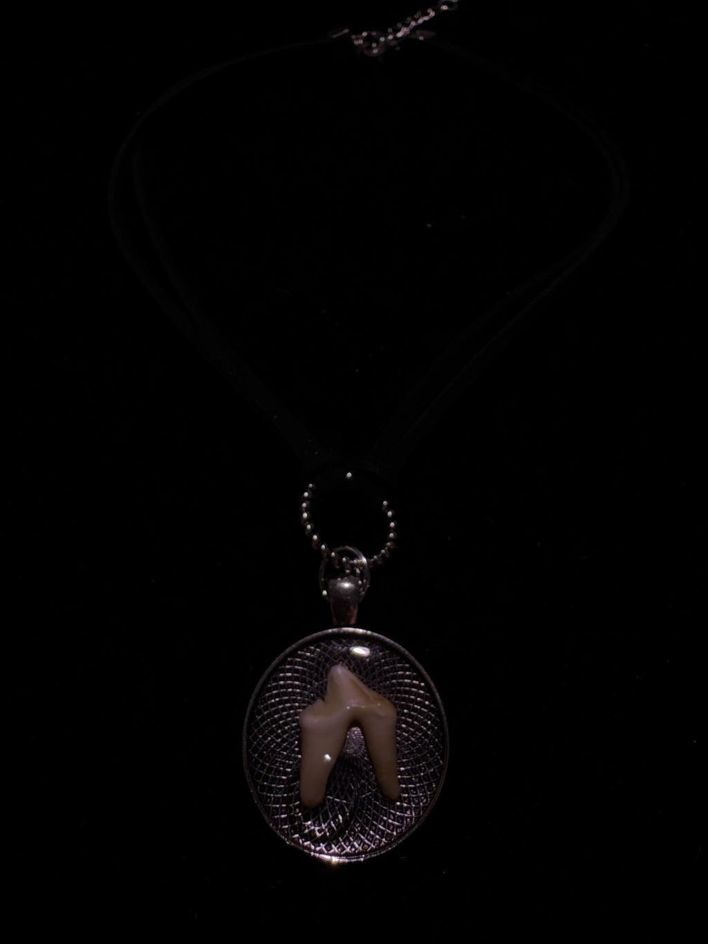 Coyote tooth choker