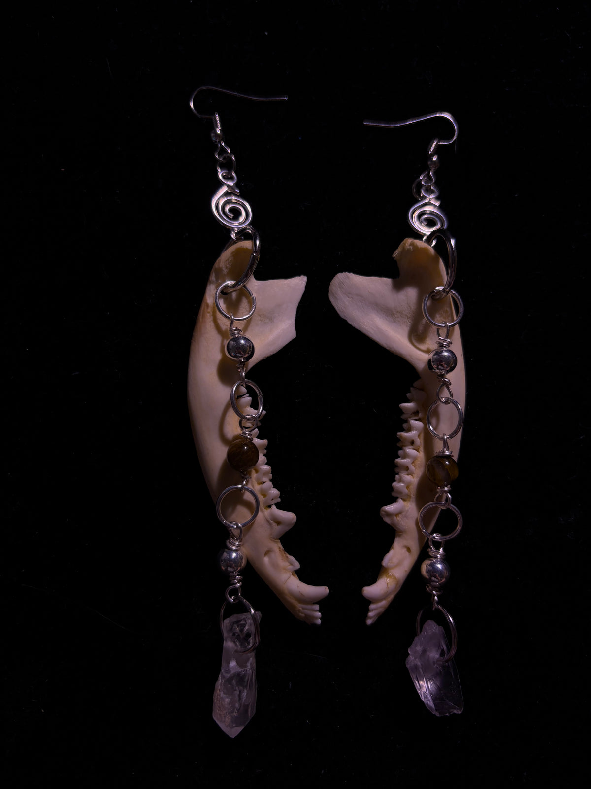 Red fox jawbone earrings