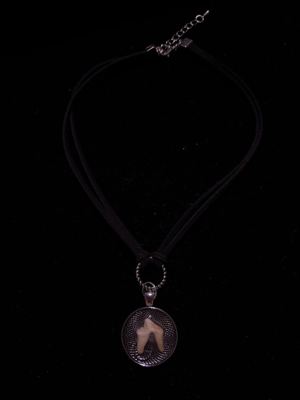 Coyote tooth choker