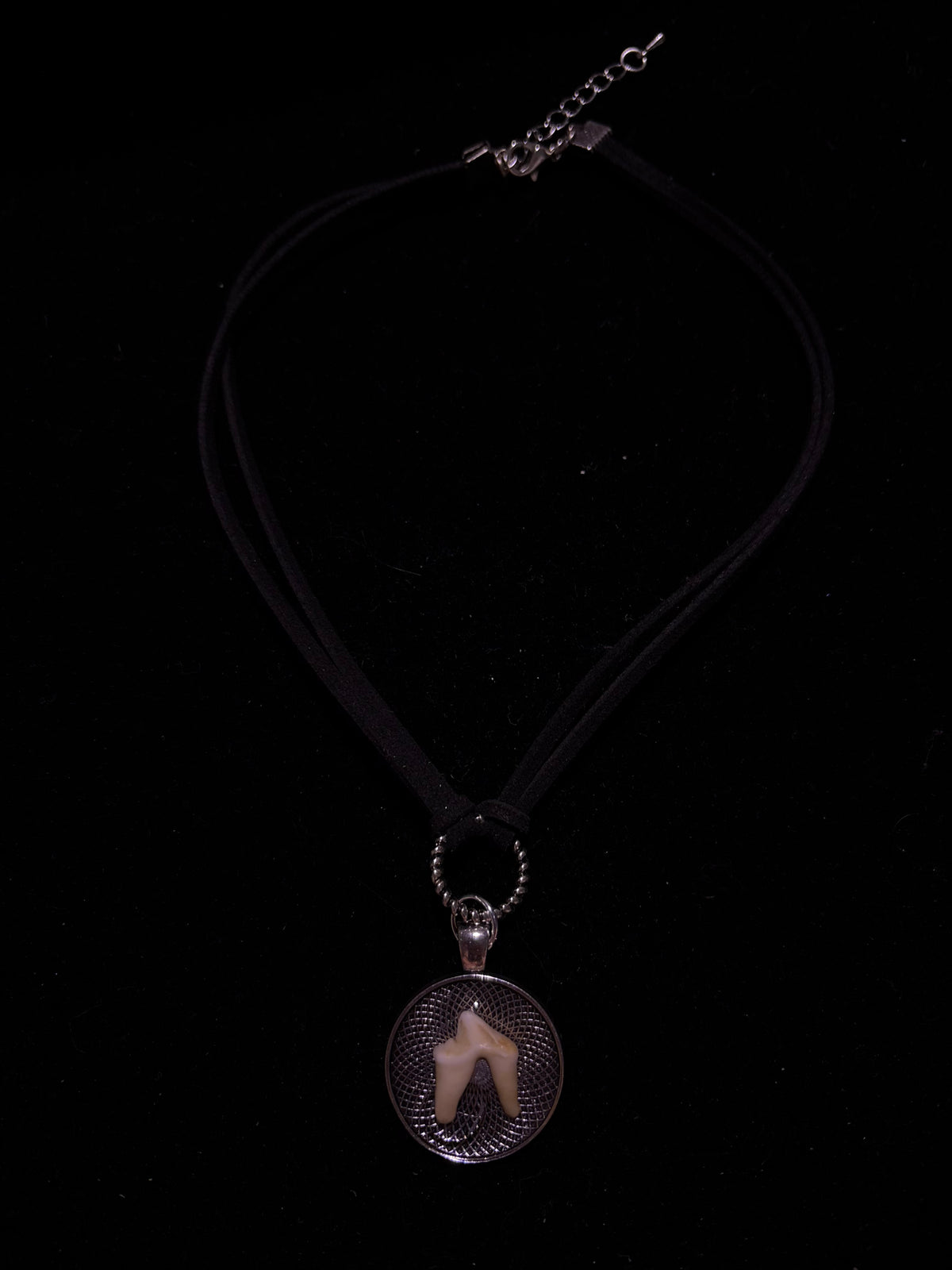 Coyote tooth choker