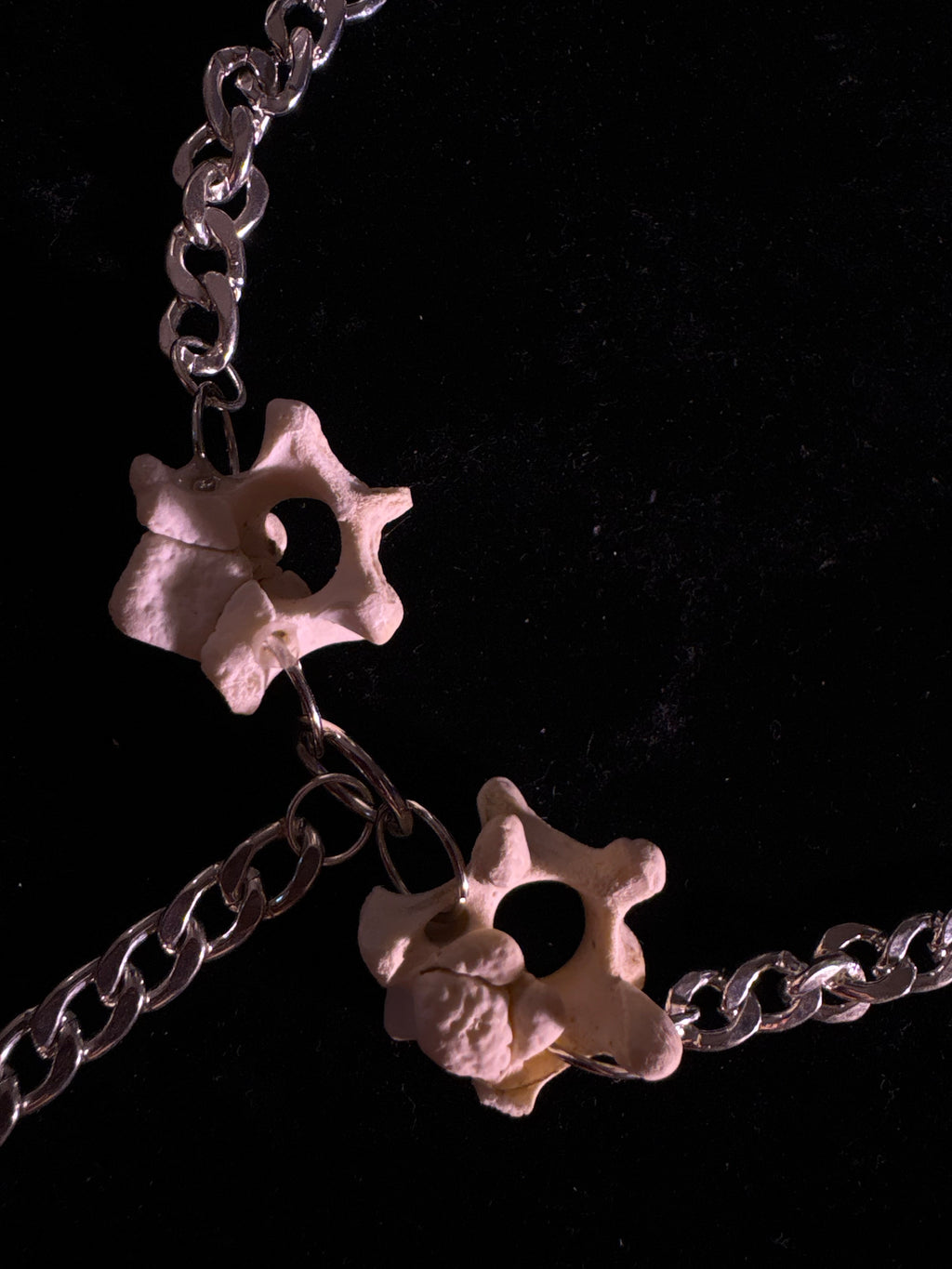 Safety whistle necklace with Fawn vertebrae