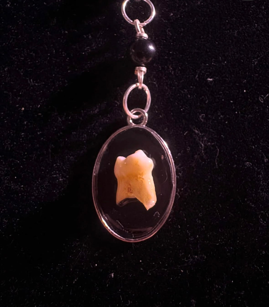 Human tooth rosary