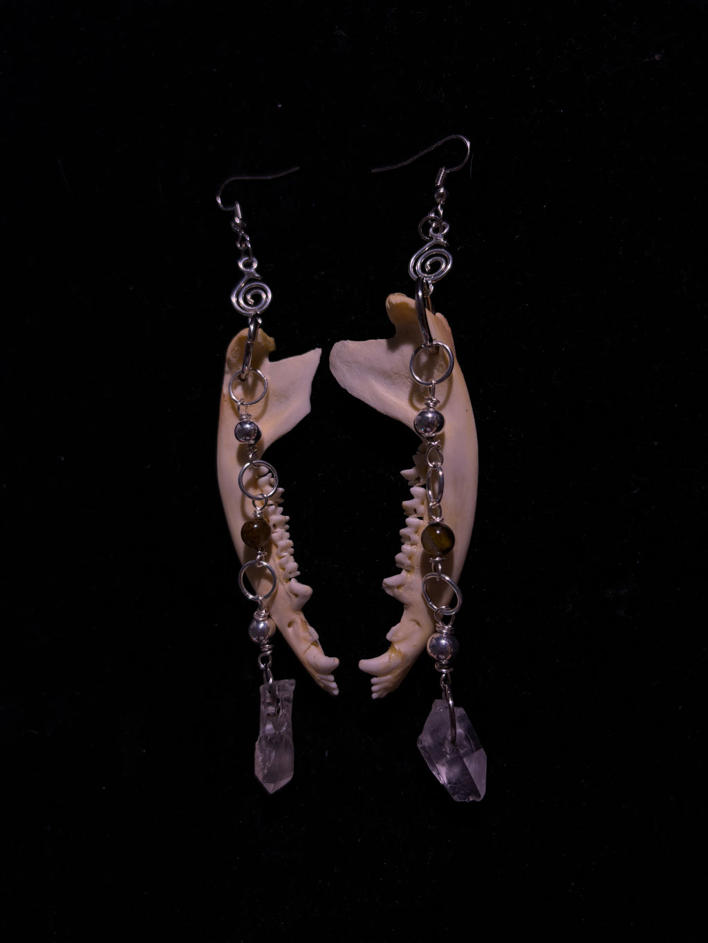 Red fox jawbone earrings