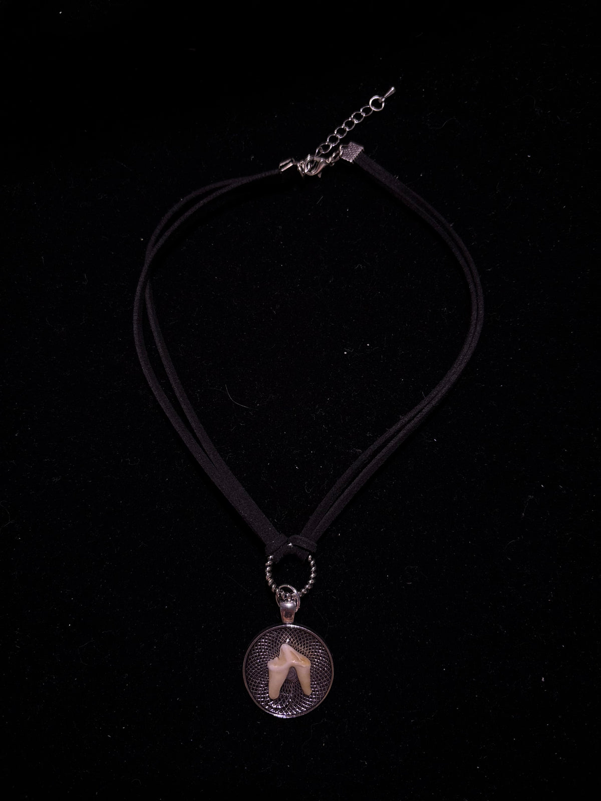 Coyote tooth choker