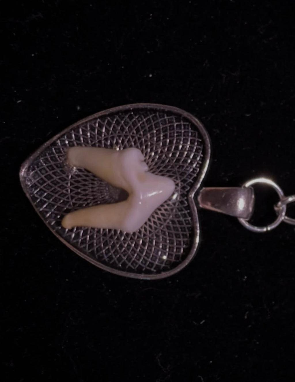 Coyote tooth lace choker