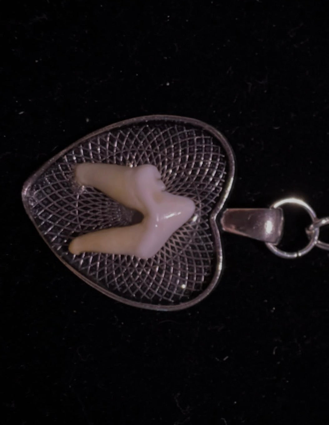 Coyote tooth lace choker