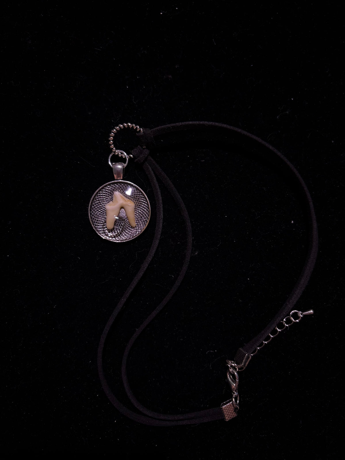 Coyote tooth choker