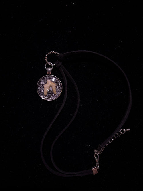 Coyote tooth choker