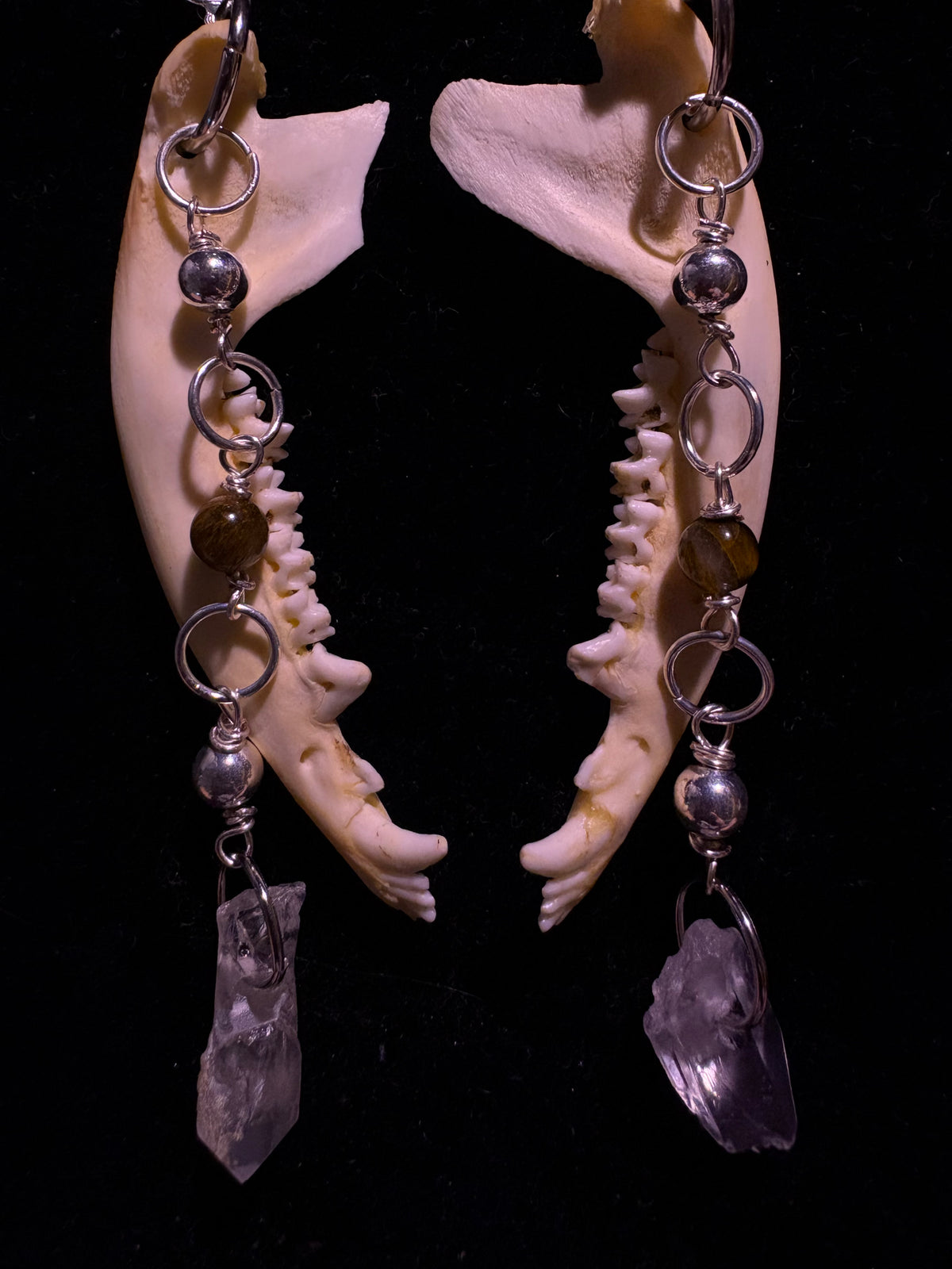 Red fox jawbone earrings