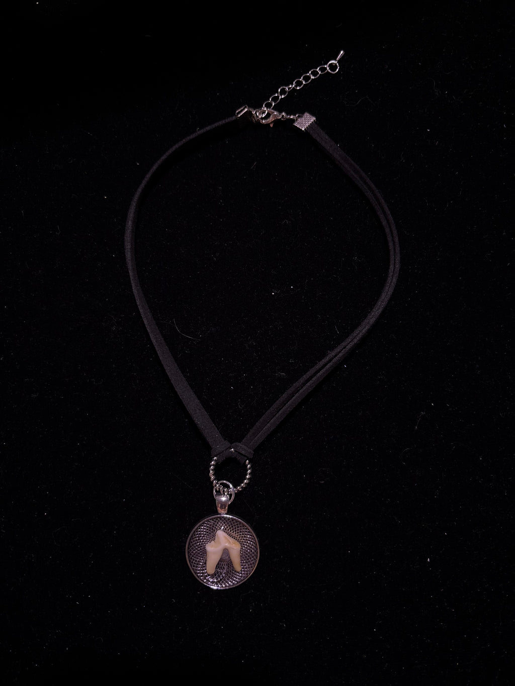 Coyote tooth choker