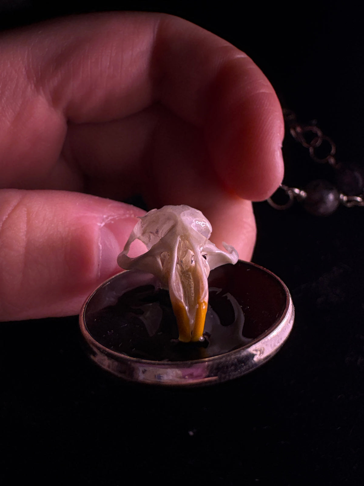 Mouse skull rosary