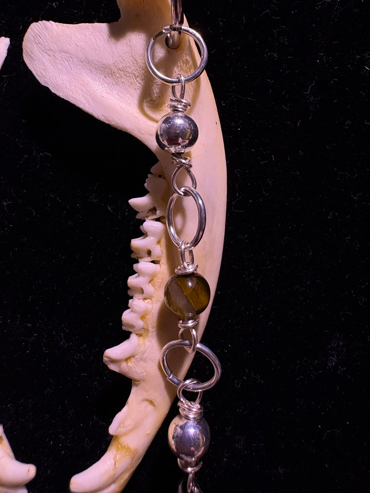 Red fox jawbone earrings